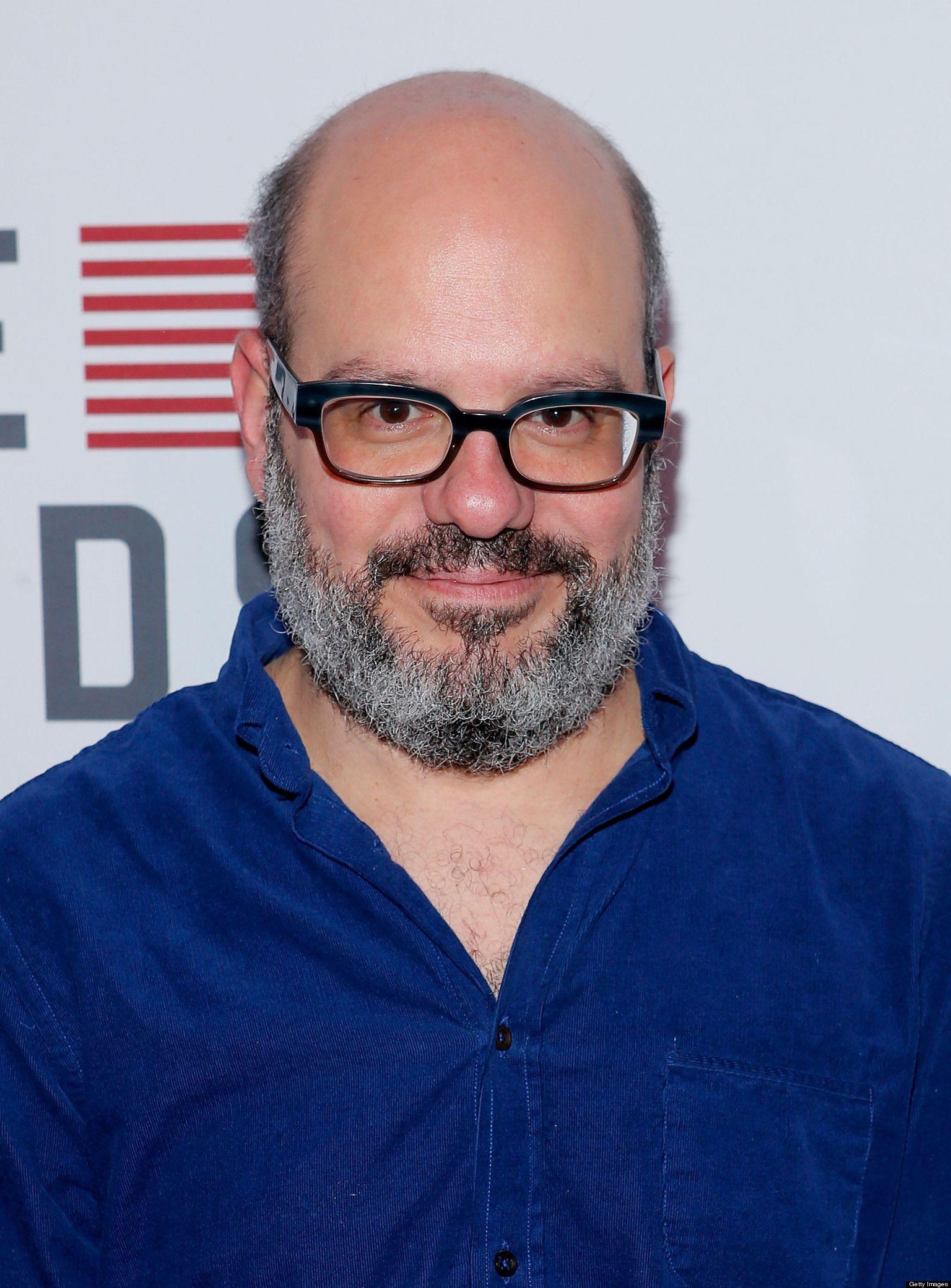 David Cross 原始照片 AI生成动漫素材