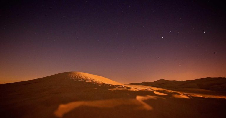 Goose，一个新的同性恋约会应用程序，似乎是一个心理医生