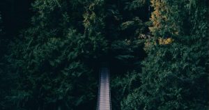 马斯克与阿尔特曼案的法官将OpenAI纠纷移交调解员处理