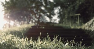 苹果 visionOS 27.0 开发者预览版 Beta 3 发布：Siri AI 能看懂佩戴者注视内容，全景照片可转空间环境