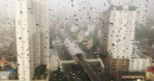ModuleNotFoundError: No module named 'proxy_server'