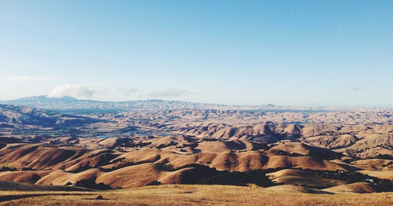 Novo Nordisk 与 AWS 将智能体 AI 引入药物研发