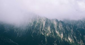 范冰把一本二十多万字的新书免费开源了。 《前置部署工程师》 讲的是 AI 时代怎么把「产品能做的」和「客户需要的」焊在一起——FDE。 全书在线读，一分钱不收。 https://t.co/cBy498X9HN