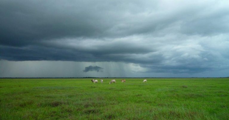 总感觉景甜想让孙割回北京是想诱捕他，毕竟这么一块大肥肉而且也🈹了那么多币圈韭菜，找个罪名难度不大 可见Claude AI还是厉害，帮助孙割及时止损，这五千万美金要是付了，孙割还真可能回北京了