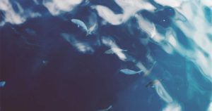 Apple称，更多前员工可能将机密数据带给了OpenAI