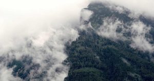 停用 Copilot 计费预览应用