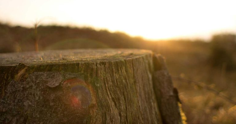 这首Billboard Hot 100热单是AI垃圾吗?