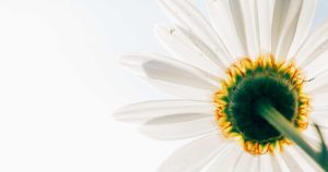 谷歌要在 2028 年囤 1500 万颗自研 AI 芯片，直接掀翻英伟达算力王座