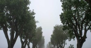 给你的其他 Claude Code 会话发消息