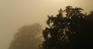 菲律宾庞大的外包产业无视AI威胁仍在增长