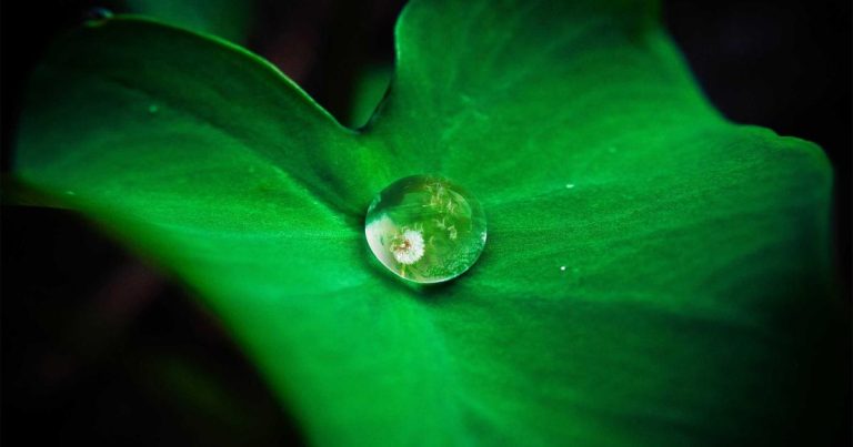 说实话，每月交VPN的费用真的烦 前两天自己用Cloudflare搭建了个人节点，结果发现根本不用买服务器，也不用写代码，大概全程10来分钟左右就搞定了 速度也挺稳，ChatGPT、Gemini、Grok这些平时用的都没问题 配置视频在下方 https://t.co/J379PAAld1