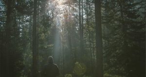 Zenity, which develops a platform for securing AI agents, raised a $125M Series C led by Norwest Venture Partners, taking its total funding to ~$185M (Meir Orbach/CTech)