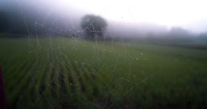 打破算力壁垒：AINFT Grid 构建开放共享的 AI 算力网络 ⚡ 训练先进的大语言模型往往需要极其昂贵的硬件集群，导致许多优秀的开源团队和独立开发者望而却步。AINFT Grid 在 https://t.co/axBcDxdgMl 基于波场 TRON 区块链构建了去中心化算力交易网络，全球节点提供者可无缝贡献闲置的 GPU 算力，为 AI 研究人员提供弹性的计算资源。 ➠ 弹性 GPU 算力池：按需租用全球分布式算力硬件，高效完…