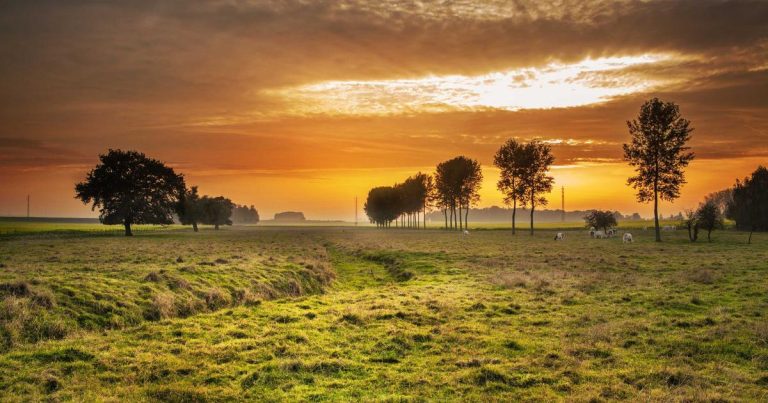 OpenAI 向 ChatGPT 免费用户开放无限文本聊天