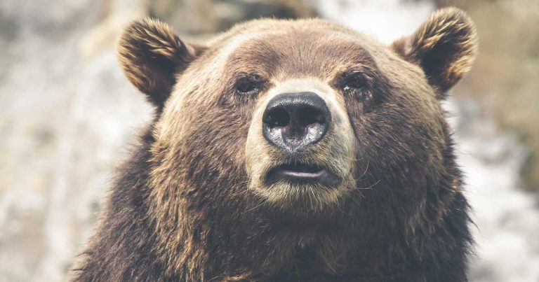 Good post on how to think about FDEs. The key is that FDEs are real and not going away for AI any time soon. The reason this is happening now at a scale that has never been seen before is because AI is fundamentally a...