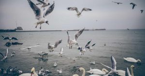 Anthropic 首度胜诉，推翻五角大楼的供应链风险标签