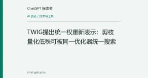 TWIG提出统一权重新表示：剪枝量化低秩可被同一优化器统一搜索